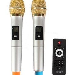 Loa Kéo Di Động Temeisheng GD10-04