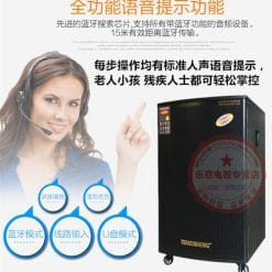 Loa Kéo Di Động Temeisheng GD15-05