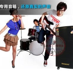 Loa Kéo Di Động Temeisheng GD15-05
