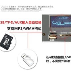 Loa Kéo Di Động Temeisheng GD15-05