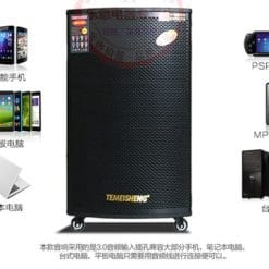 Loa Kéo Di Động Temeisheng GD15-05