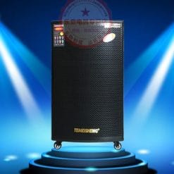 Loa Kéo Di Động Temeisheng GD15-05
