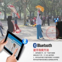 Loa Kéo Di Động Temeisheng GD15-05