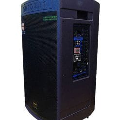 Loa Kéo Di Động Temeisheng GD15-08