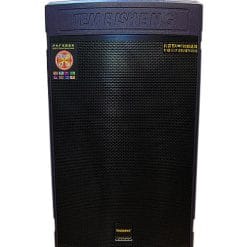 Loa Kéo Di Động Temeisheng GD15-08