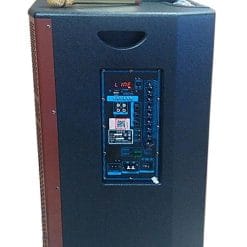 Loa Kéo Di Động Temeisheng GD15-12 4.5 Tấc