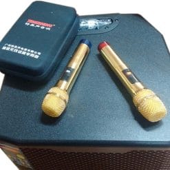 Loa Kéo Di Động Temeisheng GD15-12 4.5 Tấc