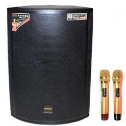 Loa kéo di động Temeisheng GD15-19 4.5 tấc