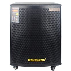 Loa Kéo Di Động Temeisheng GD18-03 - 6 Tấc