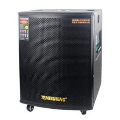Loa Kéo Di Động Temeisheng GD18-03 - 6 Tấc