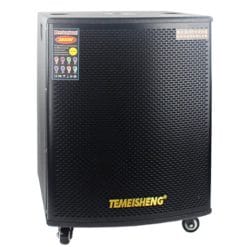 Loa Kéo Di Động Temeisheng GD18-03 - 6 Tấc