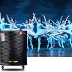 Loa Kéo Di Động Temeisheng GD18-03 - 6 Tấc
