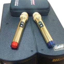 Loa Kéo Di Động Temeisheng GD212-06
