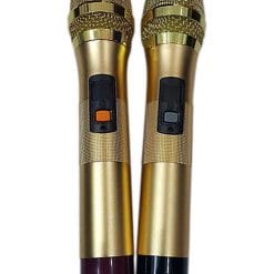 Loa kéo di động Temeisheng GD215-14 4 tấc đôi