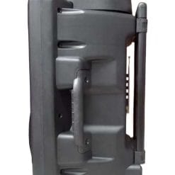 Loa Kéo Di Động Temeisheng LA-012-1