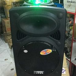 Loa kéo di động Temeisheng LA-012-1, loa karaoke có đèn vũ trường