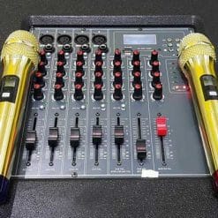 Loa Kéo Di Động Temeisheng Pro-668