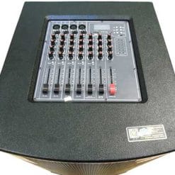 Loa Kéo Di Động Temeisheng Pro-668