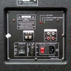 Loa Kéo Di Động Temeisheng Pro-668