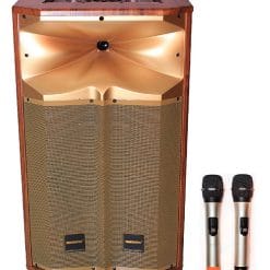 Loa kéo di động Temeisheng QX-1218 gold