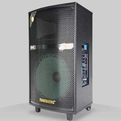 Loa Kéo Di Động Temeisheng QX-1503