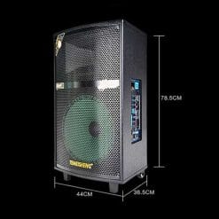 Loa Kéo Di Động Temeisheng QX-1503