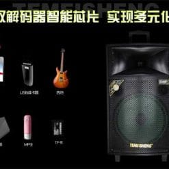 Loa Kéo Di Động Temeisheng QX-1504 - 4 Tấc