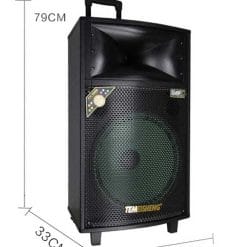 Loa Kéo Di Động Temeisheng QX-1504 - 4 Tấc