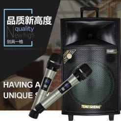 Loa Kéo Di Động Temeisheng QX-1504 - 4 Tấc