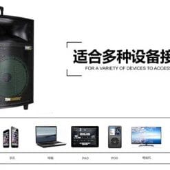 Loa Kéo Di Động Temeisheng QX-1504 - 4 Tấc