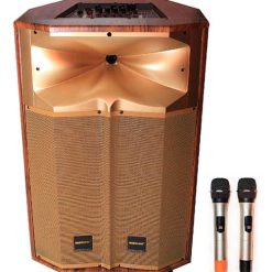 loa kéo di động Temeisheng QX-1518 gold