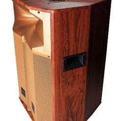 loa kéo di động Temeisheng QX-1518 gold