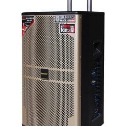 Loa kéo di động Temeisheng QX15-20 4.5 tấc