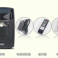 Loa Kéo Di Động Temeisheng SL12-01