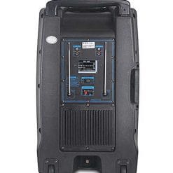 Loa Kéo Di Động Temeisheng SL12-01