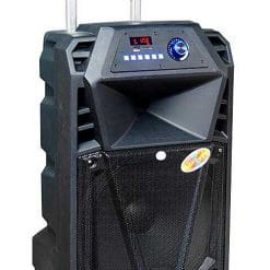 Loa kéo di động Temeisheng SP15-10