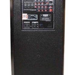 Loa kéo di động Temeisheng T2-215 bass đôi 4.5 tấc