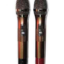 Loa kéo di động Temeisheng T2-215 bass đôi 4.5 tấc