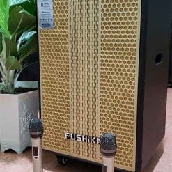Loa kéo Fushika PK-10, loa karaoke cao cấp, bass 4 tấc