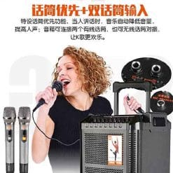 Loa kéo JBZ JB+0807, loa karaoke vỏ gỗ, bass đôi 2 tấc