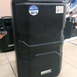 Loa kéo karaoke Temeisheng QX-1229, vỏ nhựa 3.5 tấc, max 300W