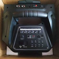 Loa kéo karaoke Temeisheng QX-1229, vỏ nhựa 3.5 tấc, max 300W