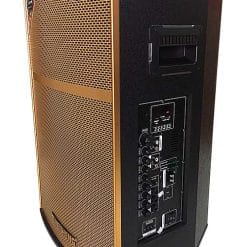Loa kéo karaoke Temeisheng QX152, công suất đỉnh 800W