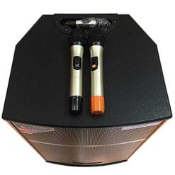 Loa kéo karaoke Temeisheng QX152, công suất đỉnh 800W