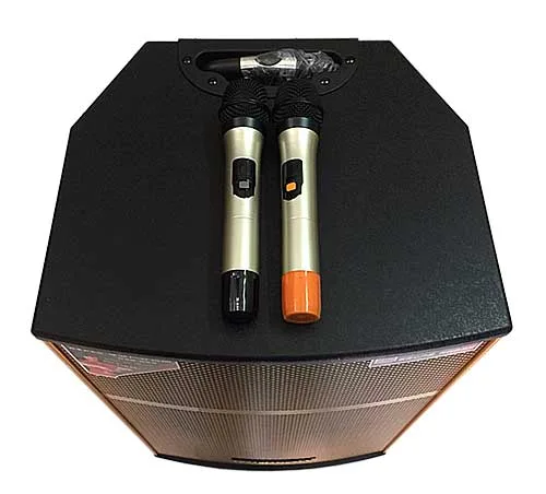 Loa kéo karaoke Temeisheng QX152, công suất đỉnh 800W