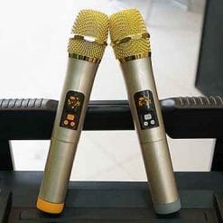 Loa kéo Malata M+1876, loa karaoke cao cấp, bass 5 tấc