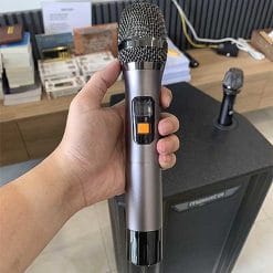 Loa kéo Malata M+9041PY, loa karaoke di động cao cấp