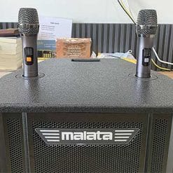 Loa kéo Malata M+9041PY, loa karaoke di động cao cấp