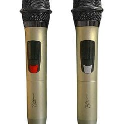 Loa kéo Prosing W15B, loa hát karaoke di động cao cấp