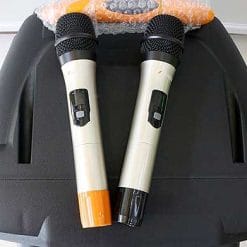 Loa kéo Sansui A15-66, loa karaoke 2 đường tiếng, max 350W